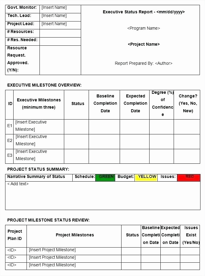 It Project Status Report Template Elegant Status Report Template Excel Free Download Project Status