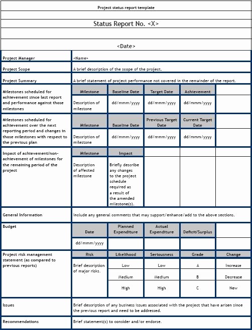 It Project Status Report Template New Sample Project Status Report Template