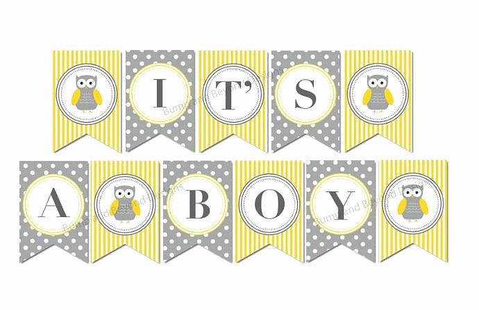 It&amp;#039;s A Boy Banner Printable Luxury Yellow Grey Baby Shower Banner Owl