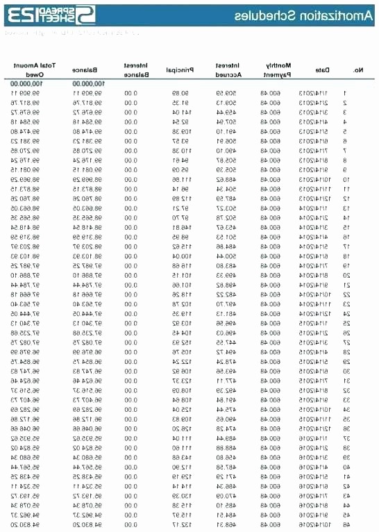 Line Of Credit Calculator Excel Lovely Line Credit Amortization Schedule Excel with Balloon