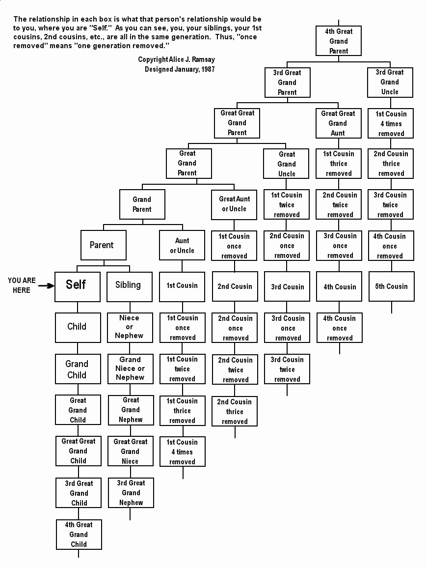 Make A Family Tree Chart Beautiful Cousins Etc