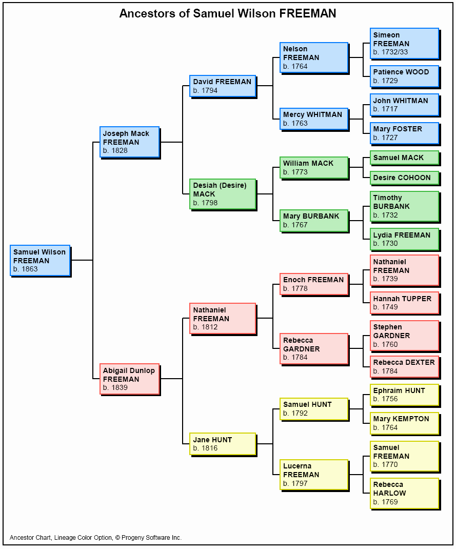 Make A Family Tree Chart Luxury Ancestors Sample Family Tree Charts