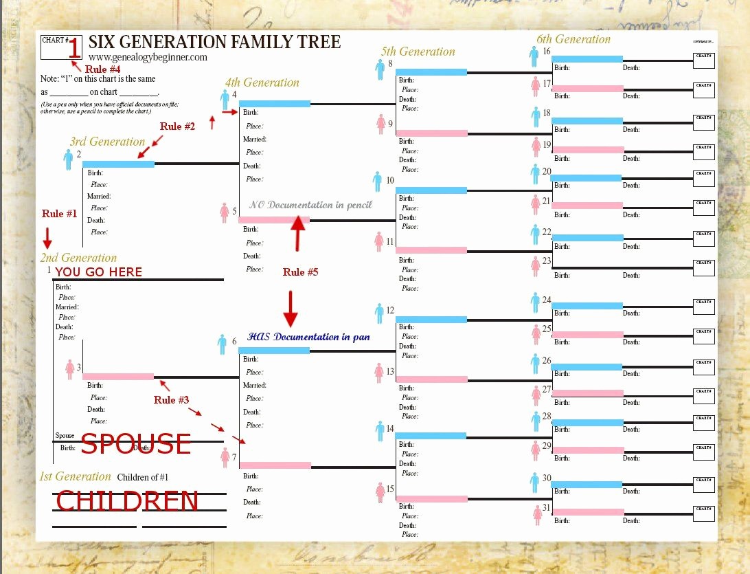 Make A Family Tree Chart Luxury Use Smartdraw S Included Family Tree Templates to Easily