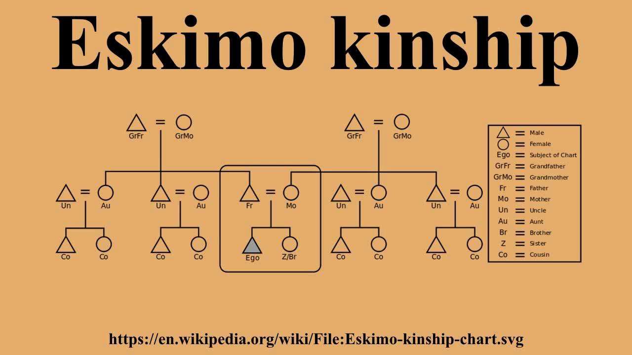 Make A Kinship Diagram Online Awesome Eskimo Kinship