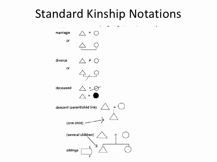 Make A Kinship Diagram Online Elegant Creating A Kinship Chart