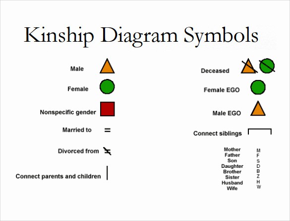 Make A Kinship Diagram Online Luxury 10 Kinship Diagram Templates to Download