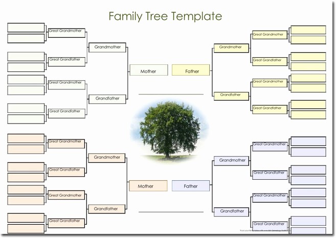 Make Family Tree In Word Inspirational 21 Genogram Templates Easily Create Family Charts