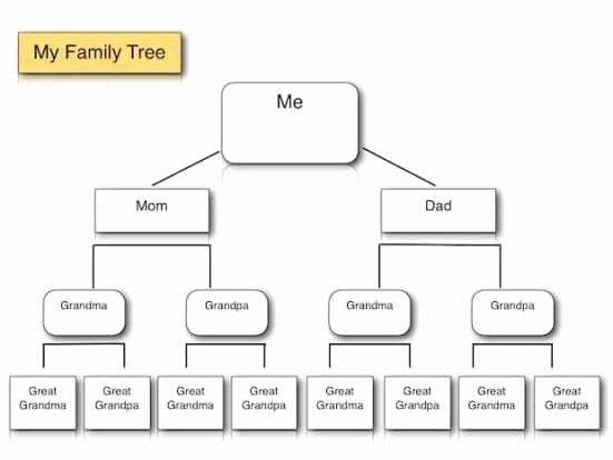 Make Family Tree In Word Lovely Family Tree Templates Find Word Templates