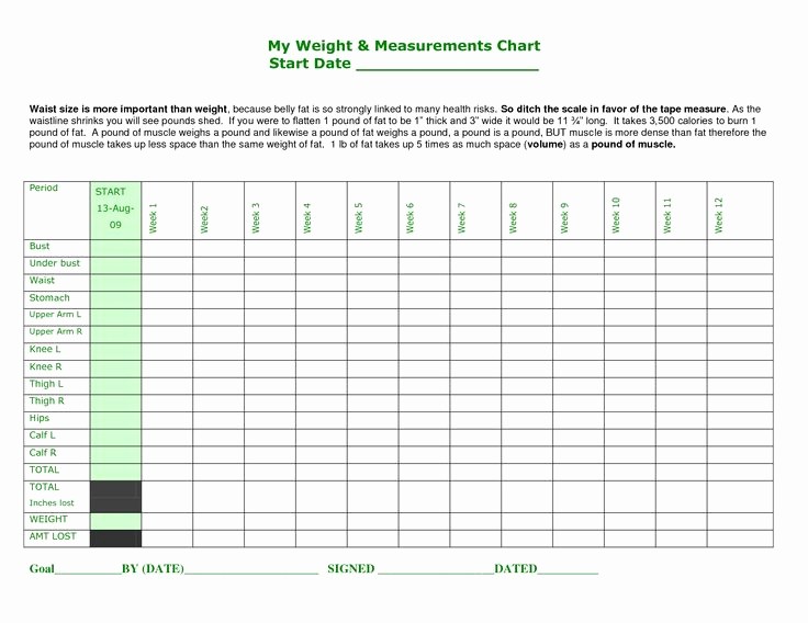Measurements for Weight Loss Chart Best Of Best 25 Body Measurement Chart Ideas On Pinterest