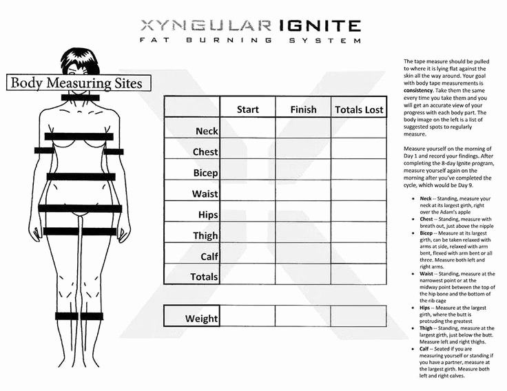 Measuring Chart for Weight Loss Beautiful Measuring Chart Exercise