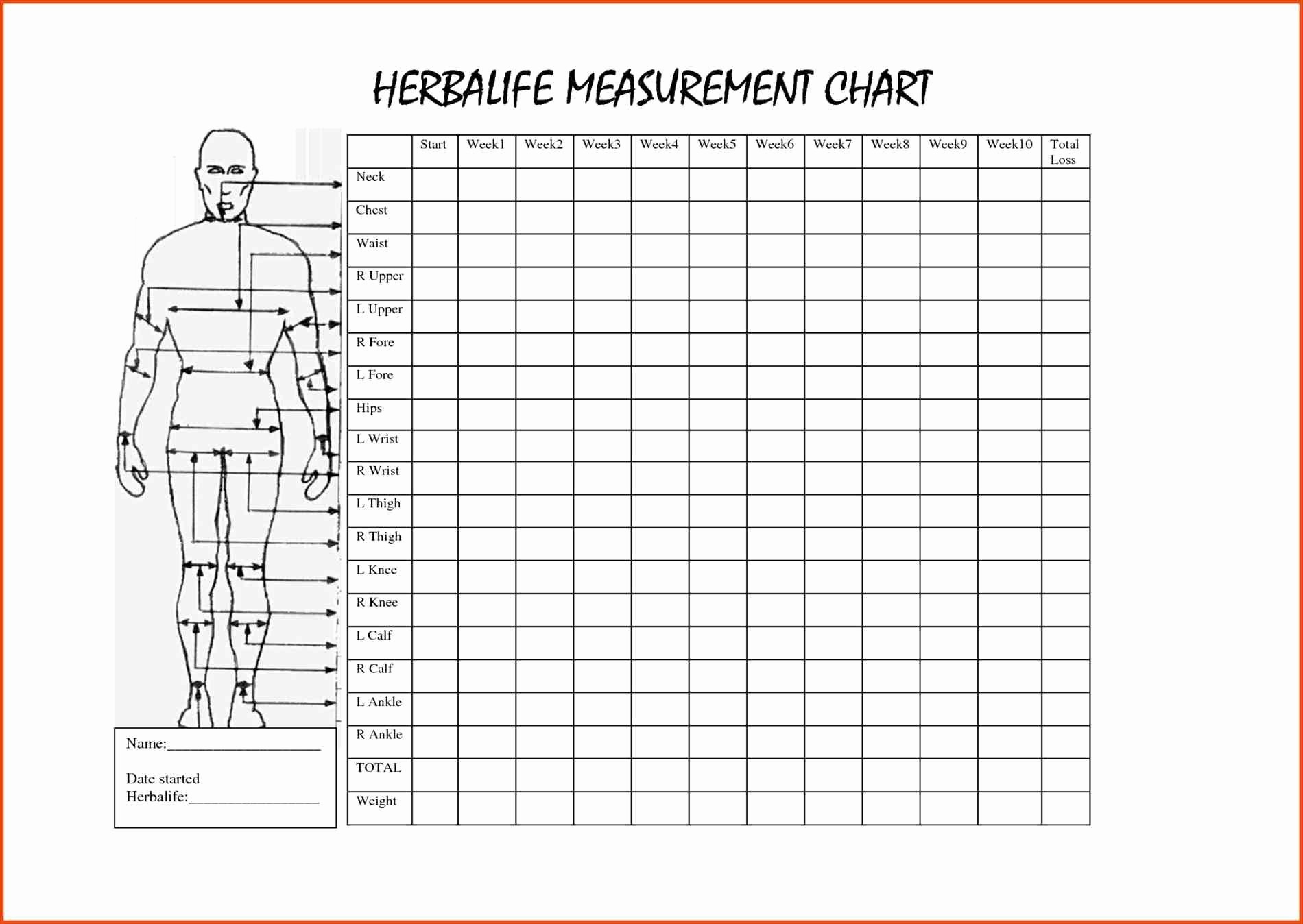 Measuring Chart for Weight Loss Fresh Pin by Tyler Delay On Wake Up Workout
