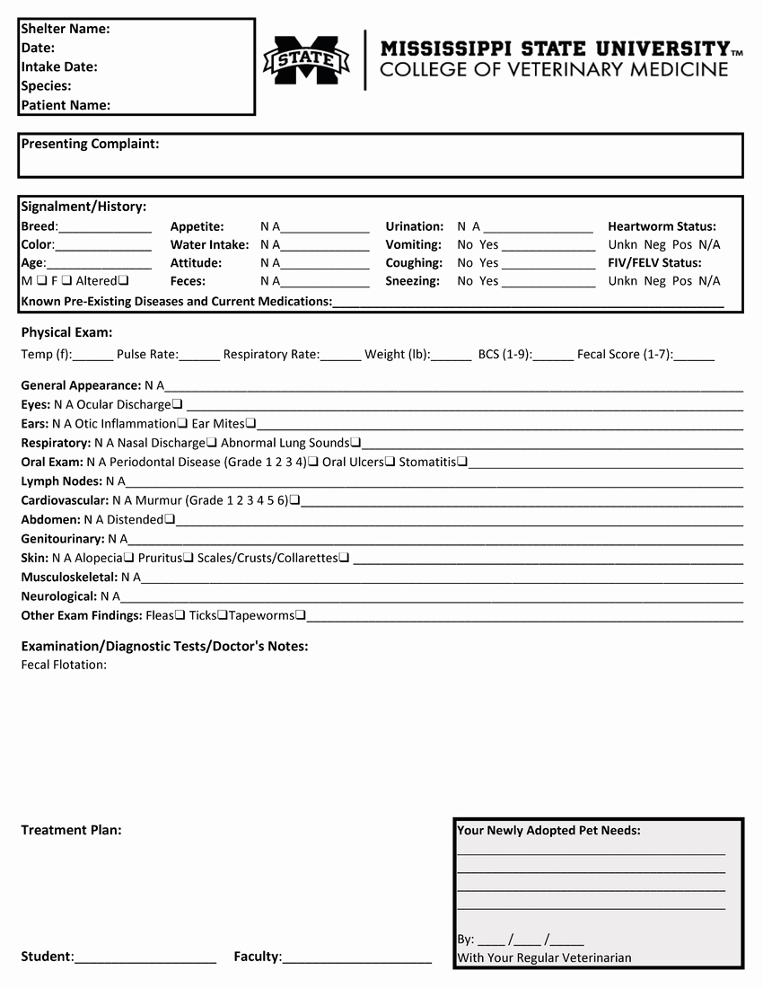 Medical Physical form for Employment New Physical Examination form the Physical Examination form