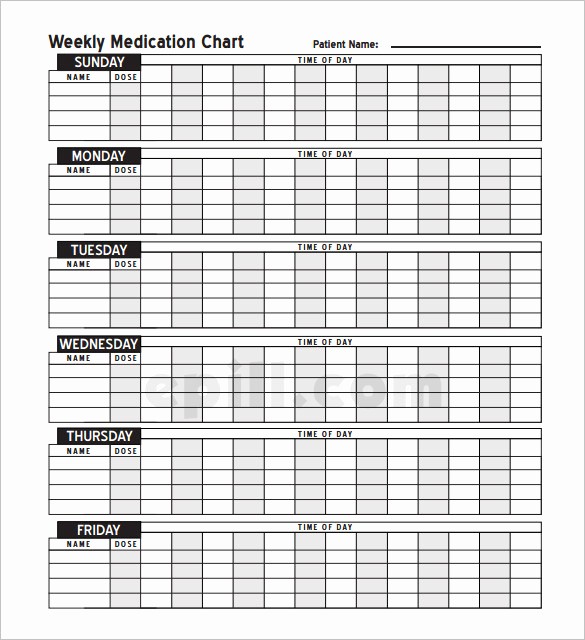 Medication Chart Template Free Download Beautiful 8 Medical Schedule Template Doc Pdf