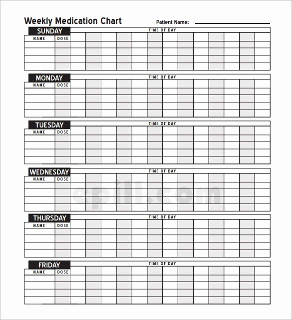 Medication Chart Template Free Download Lovely Medication Schedule Template 8 Free Word Excel Pdf