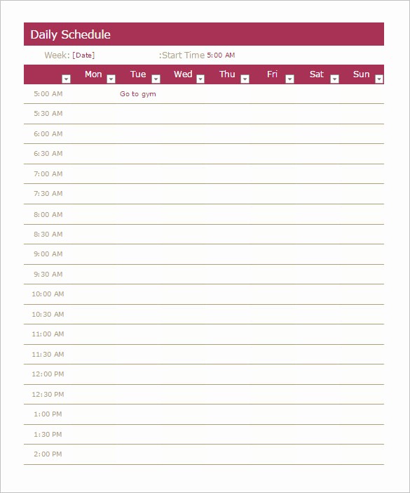 Microsoft Excel Weekly Schedule Template Luxury Microsoft Excel Weekly Schedule Template