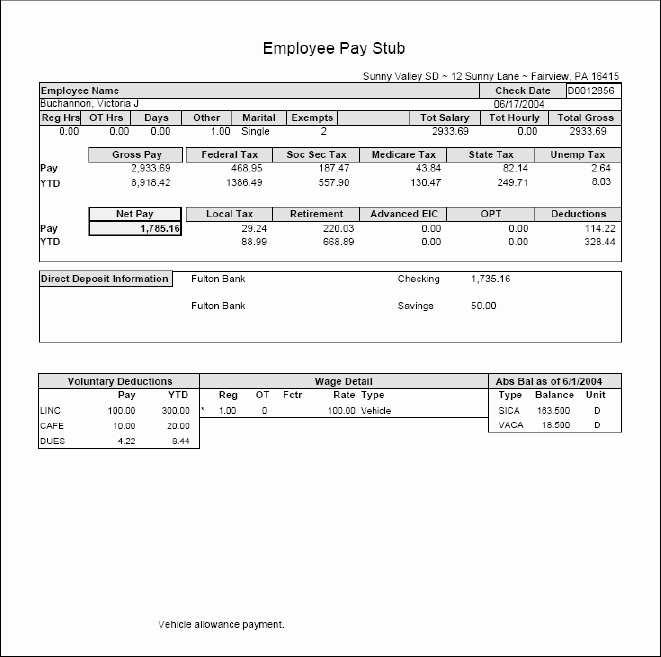 Microsoft Word Check Stub Template New Pay Stub Example