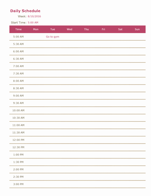Microsoft Word Daily Schedule Template Luxury Microsoft Excel Weekly Schedule Template