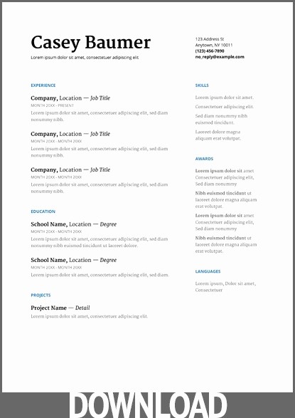 Microsoft Word Professional Resume Template Unique Professional Resume Template Download Doc