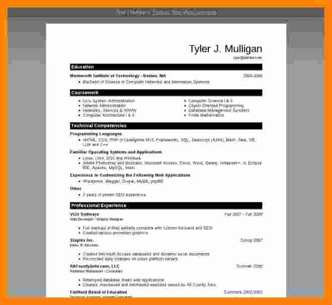 Microsoft Word Resume Templates 2007 Inspirational 9 Cv format Ms Word 2007