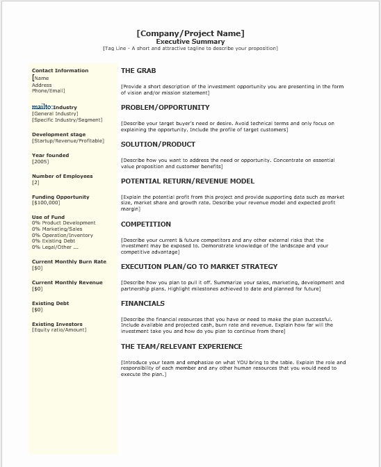 Ms Word Executive Summary Template Best Of 29 Free Executive Summary Templates Word Templates