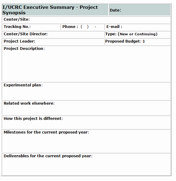 Ms Word Executive Summary Template Inspirational 43 Free Executive Summary Templates In Word Excel Pdf