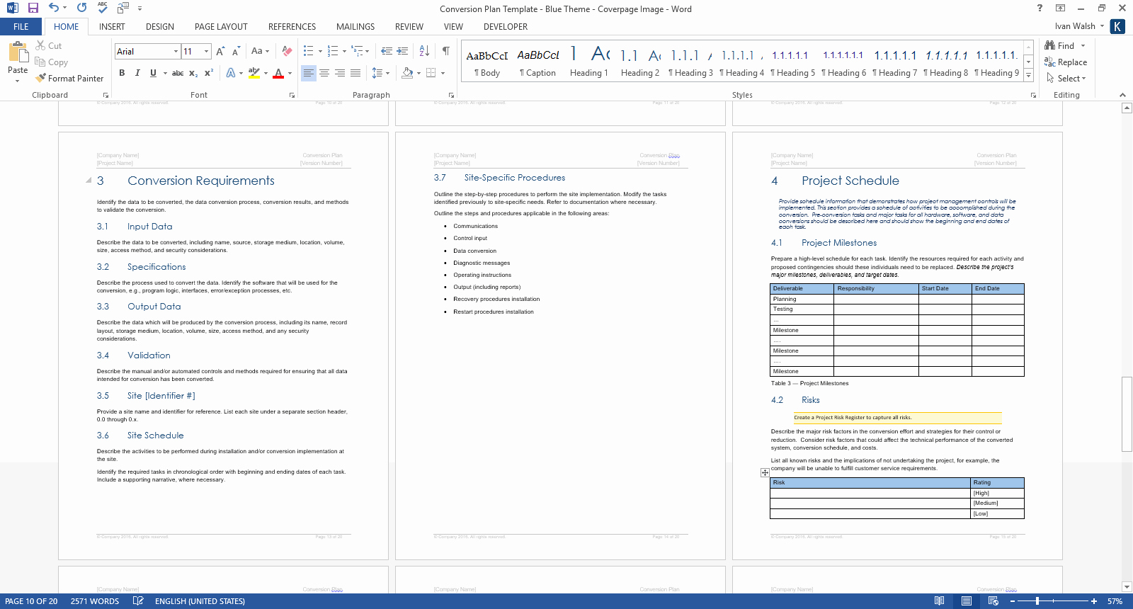 Ms Word Executive Summary Template New Conversion Plan Template