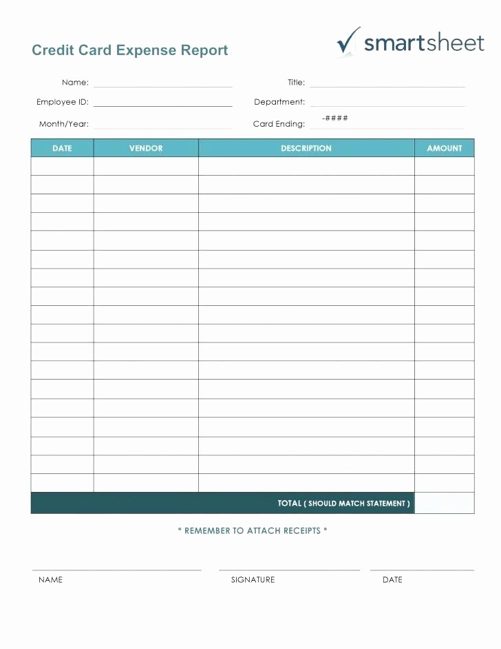 Multiple Loan Repayment Calculator Excel Unique Multiple Credit Card Payoff Excel Template Blank Monthly