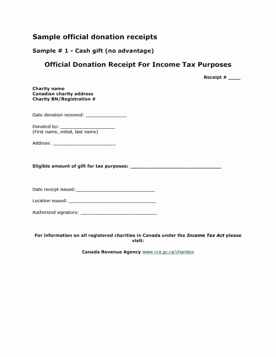 Non Profit Donation form Template Fresh Template Receipt Letter Template