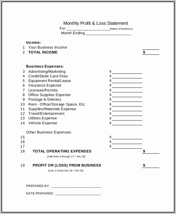 Online Profit and Loss Statement Luxury Certified Profit and Loss Statement Template Resume