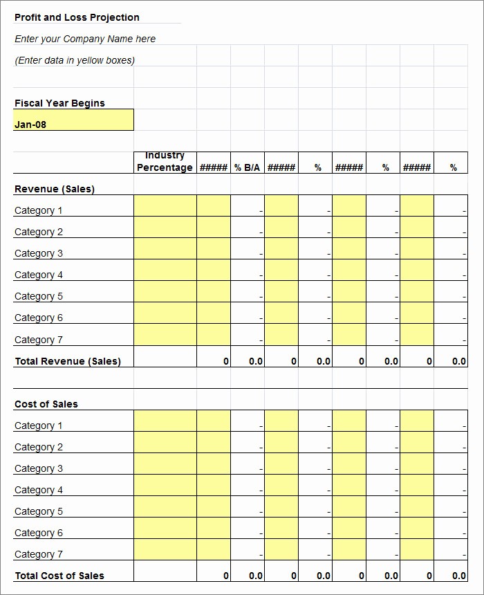 P and L Template Excel Lovely 12 Profit and Loss Statements Word Pdf