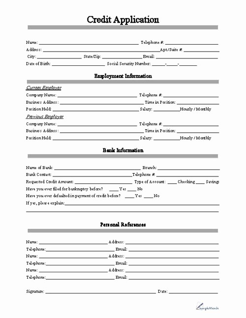 Personal Credit Application form Free Lovely Credit Application form