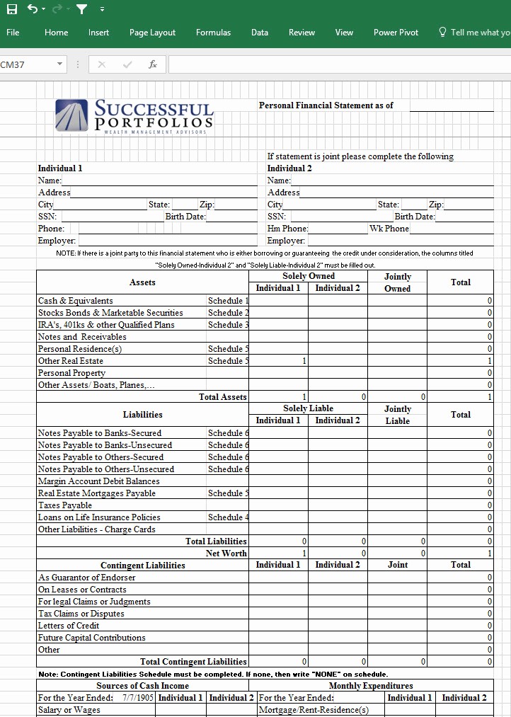 Personal Financial Plan Template Excel Beautiful Personal Financial Statement