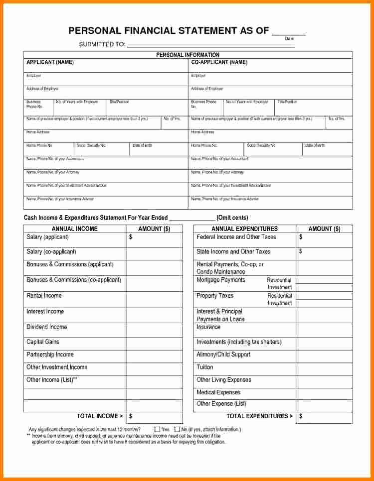 Personal Financial Plan Template Excel Best Of 8 Personal Financial Statement Template Excel