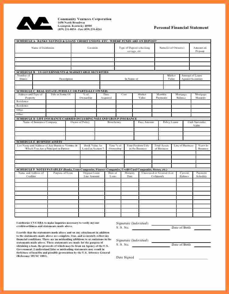 Personal Financial Plan Template Word Awesome 6 Personal Financial Statement Template Word