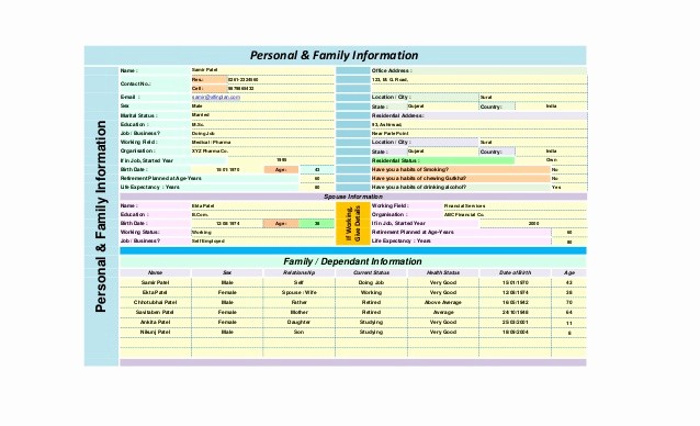 Personal Financial Plan Template Word Awesome Personal Financial Planning Templates Excel Free Yearly