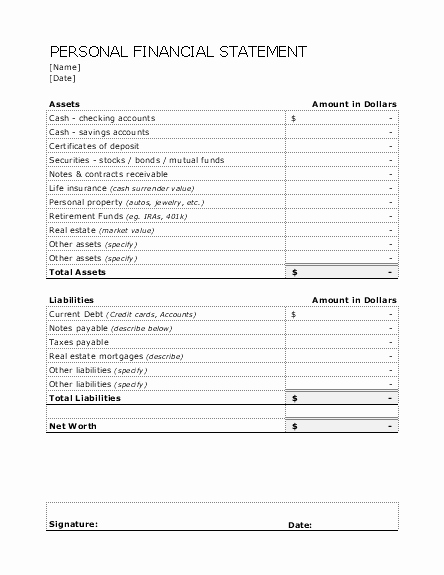 Personal Financial Plan Template Word Inspirational Personal Financial Statement Statements Templates
