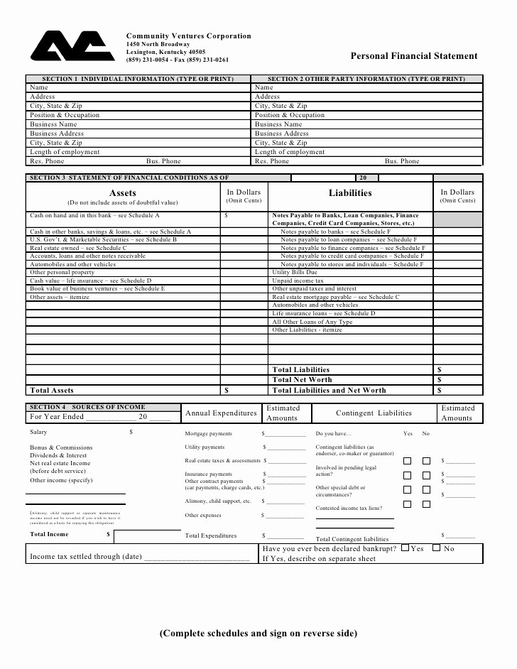 Personal Financial Plan Template Word Luxury Download the Personal Financial Statement Word format