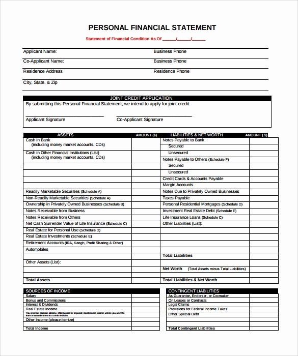 Personal Financial Plan Template Word Unique 15 Sample Personal Financial Statement Templates