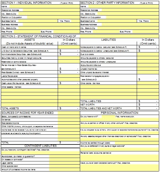 Personal Financial Plan Template Word Unique 40 Personal Financial Statement Templates &amp; forms