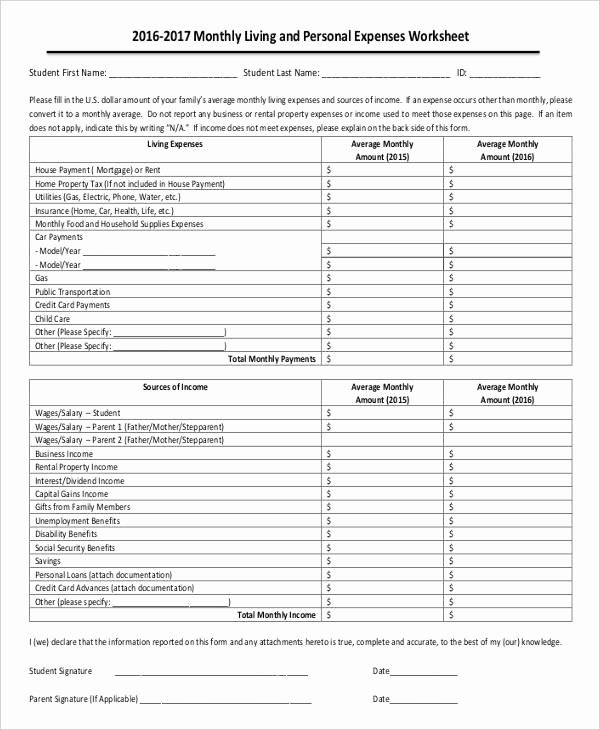 Personal Income and Expense Sheet Unique 33 Expense Sheet Templates