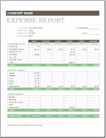 Personal Monthly Expense Report Template Awesome Daily Weekly &amp; Monthly Expense Report Template