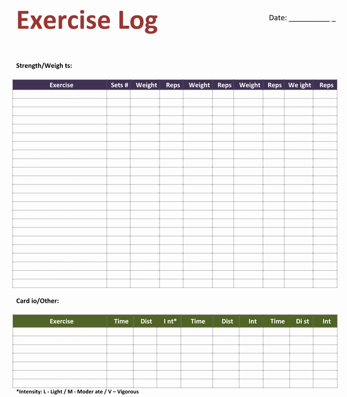Personal Training Workout Log Template Beautiful Exercise Log Template 8 Plus Training Sheets