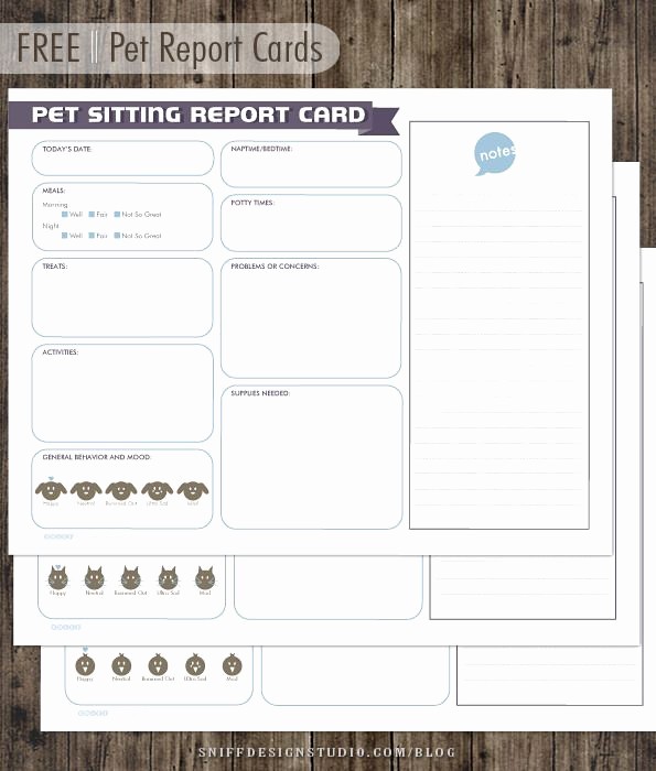 Pet Sitting Client Information form Beautiful Best 25 Pet Sitting Ideas On Pinterest