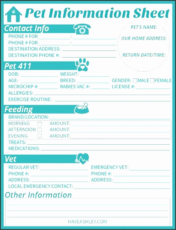 Pet Sitting Client Information form Fresh 5 Free Client Information Sheet Maker Sampletemplatess