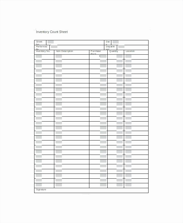 Physical Inventory Count Sheet Templates Beautiful Count Sheet – Publidigital