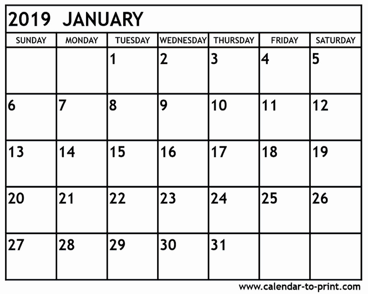 Printable 12 Month Calendar 2019 Best Of January 2019 Calendar Template