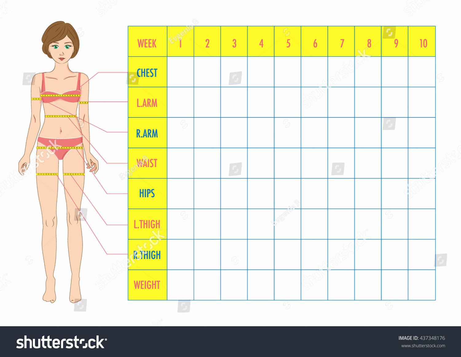 Printable Weight Loss Measurement Chart Awesome Measurement Chart Body Parameters Sport Diet Stock Vector