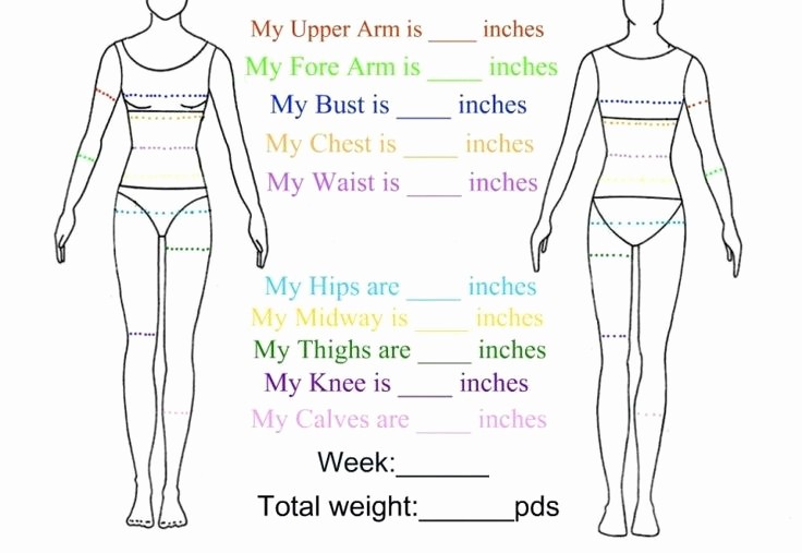 Printable Weight Loss Measurement Chart Elegant Body Measurement Chart Yahoo Image Search Results