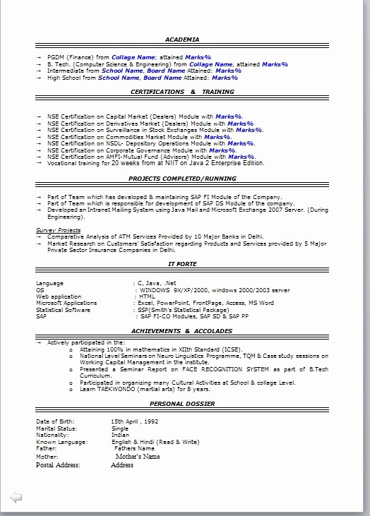 Professional Resume format Free Download Beautiful Professional Resume format Free Download