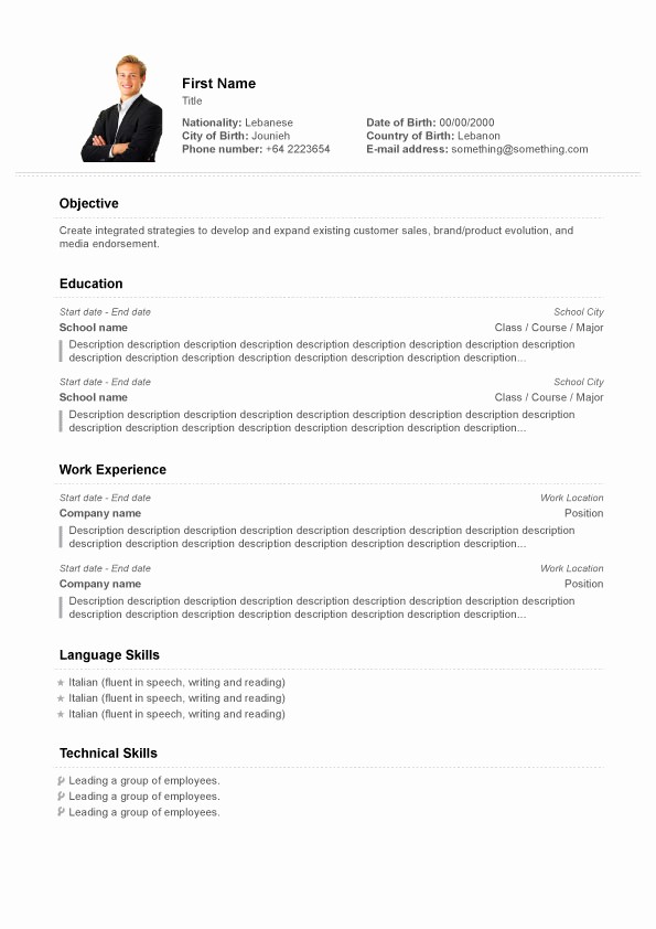 Professional Resume format Free Download Best Of Professional Resume Template 10 Resume Cv